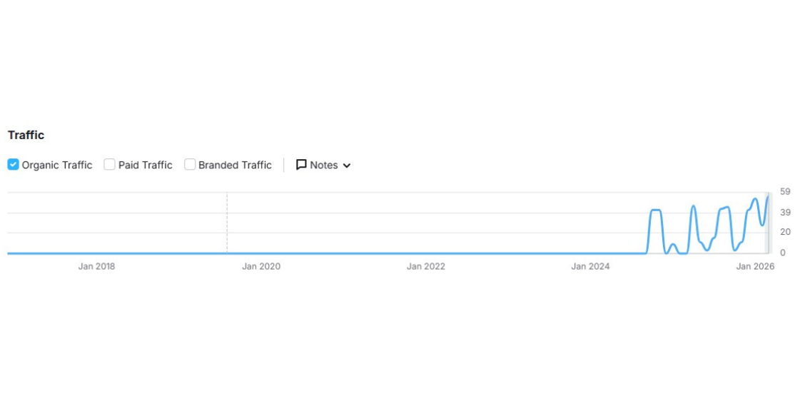 Website Traffic Growth Chart